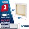 20 x 20 inch Stretched Canvas 12-Ounce Triple Primed, 3-Pack - Professional Artist Quality White Blank 3/4" Profile, 100% Cotton, Heavy-Weight Gesso